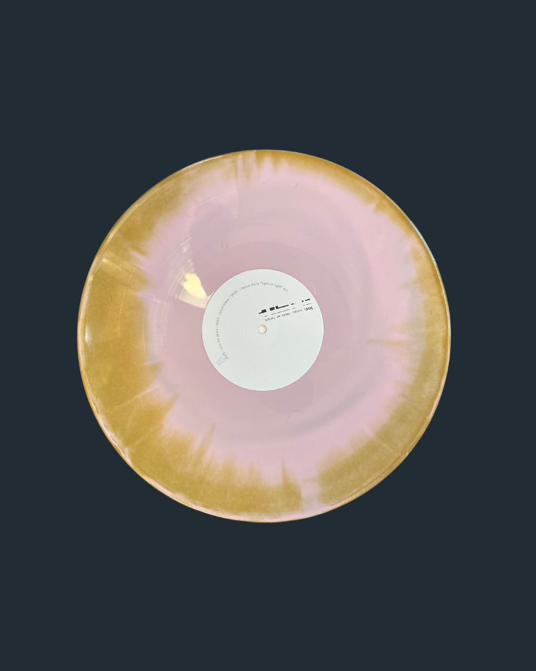 toe- songs, ideas we forgot LP