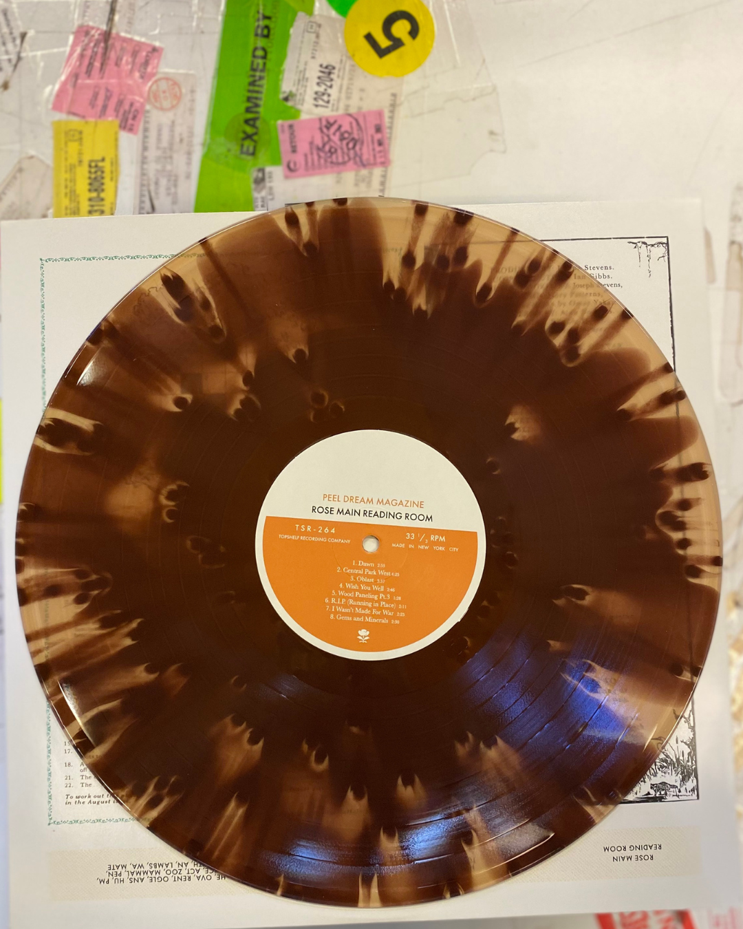Peel Dream Magazine - "Rose Main Reading Room" LP