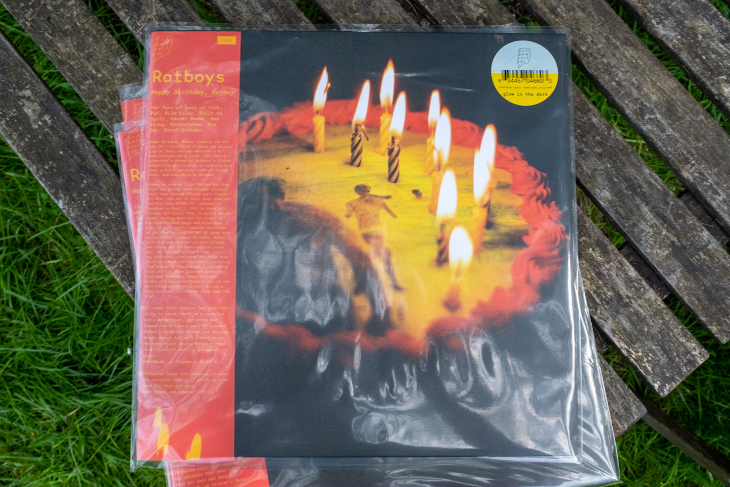 Ratboys - Happy Birthday, Ratboy LP