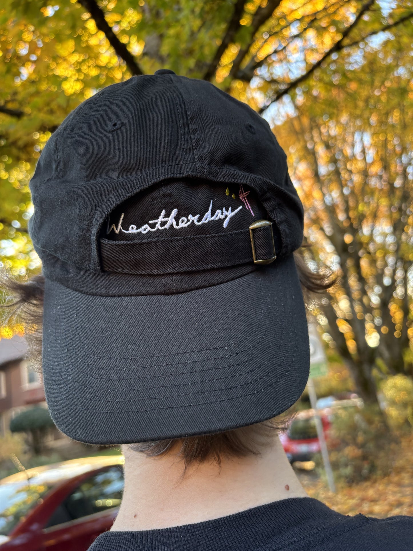 Weatherday - Baseball Hat