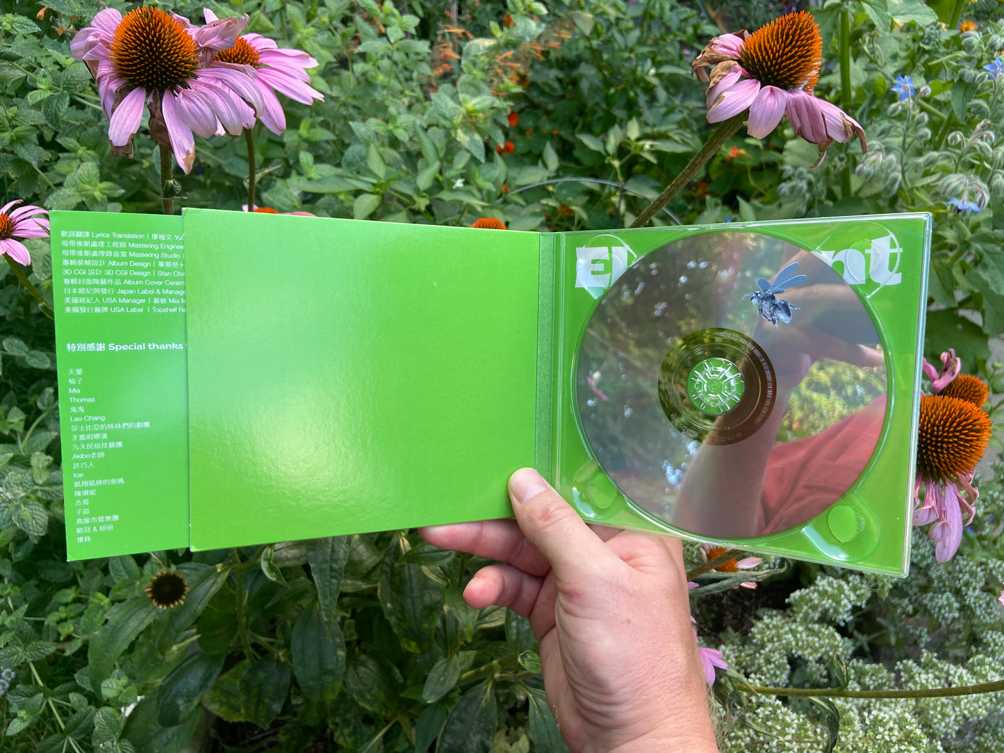 Elephant Gym - Dreams CD