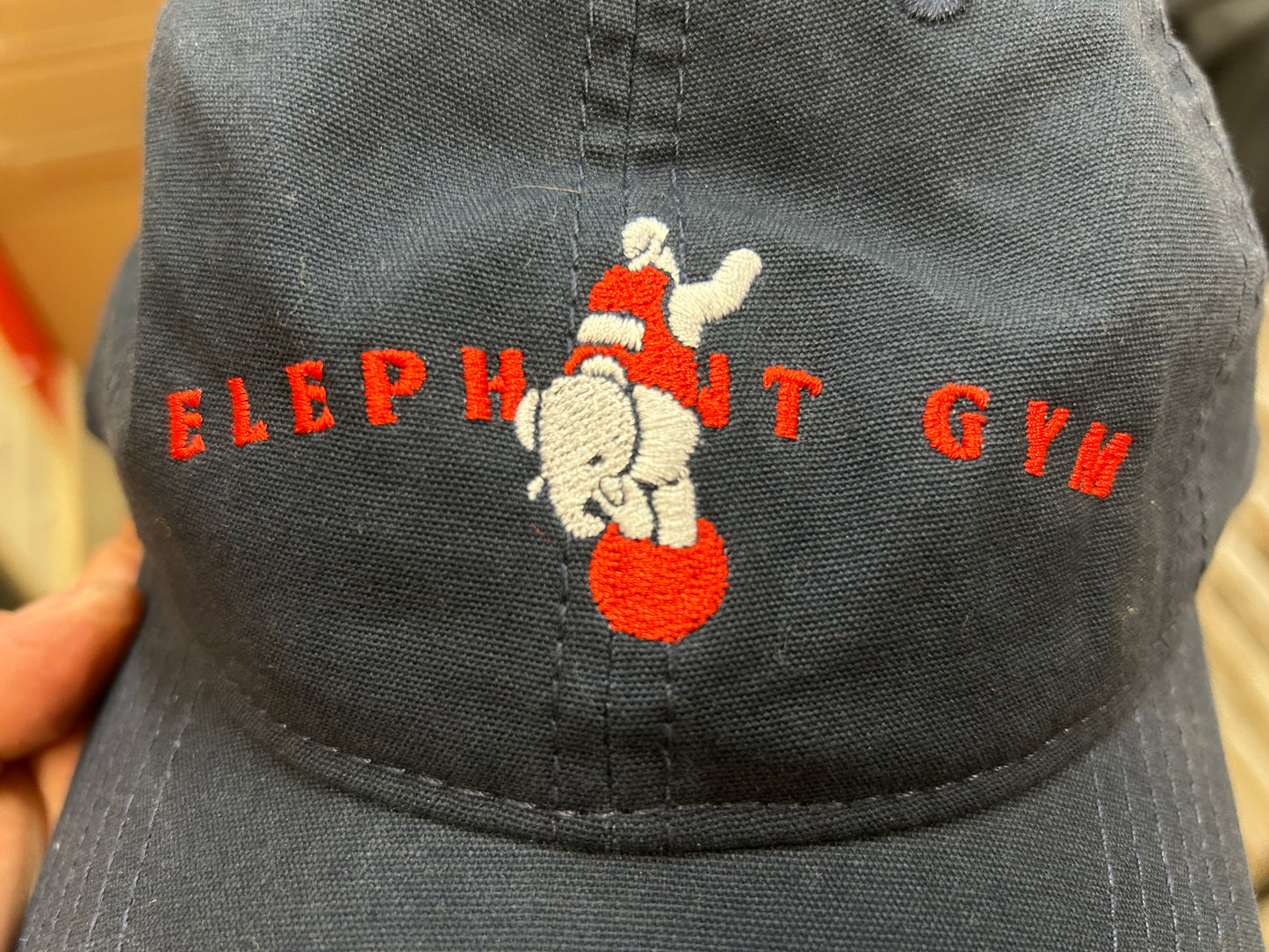 Elephant Gym - Navy blue logo hat