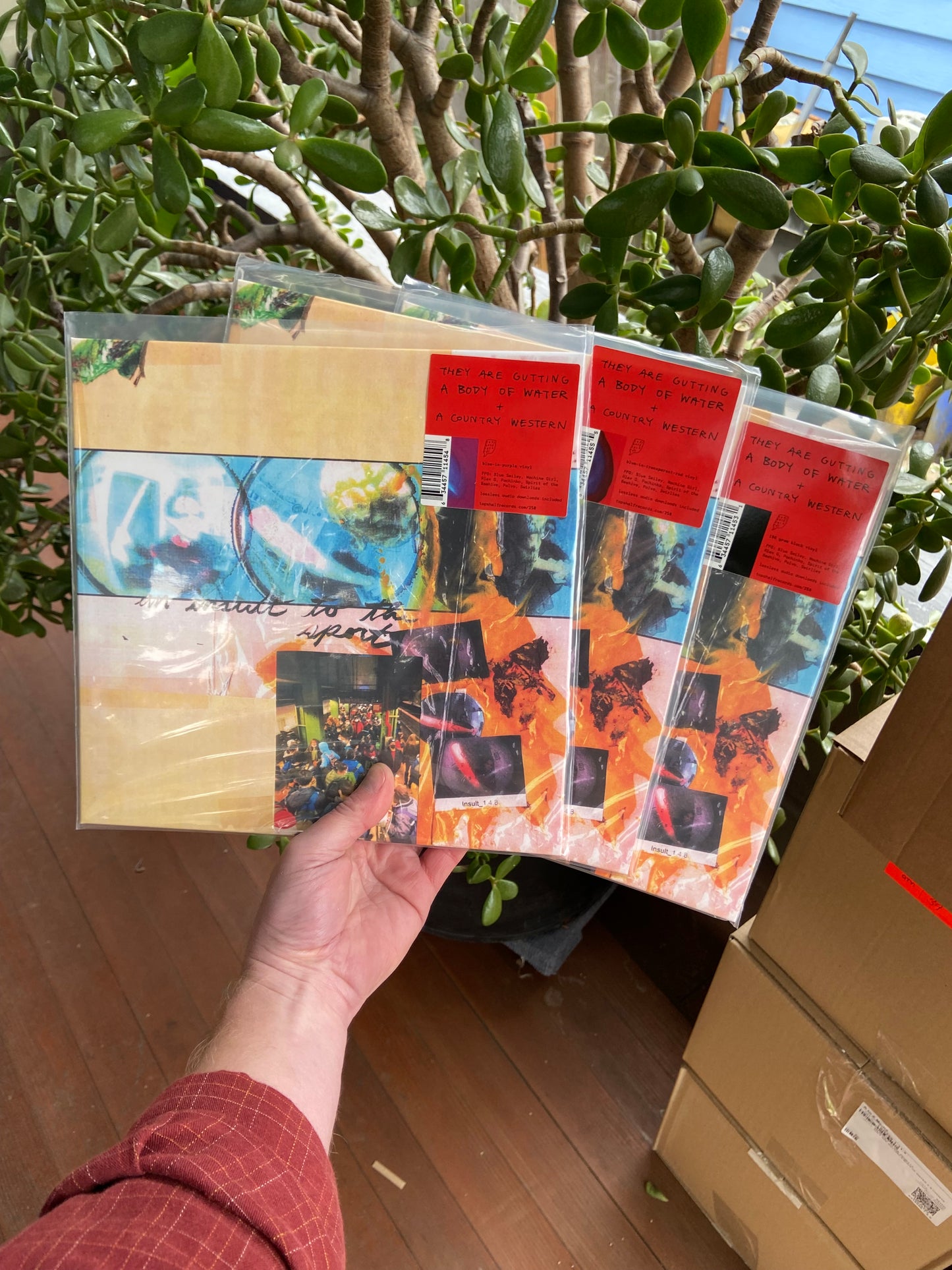 They Are Gutting a Body of Water / A Country Western - An Insult to the Sport LP