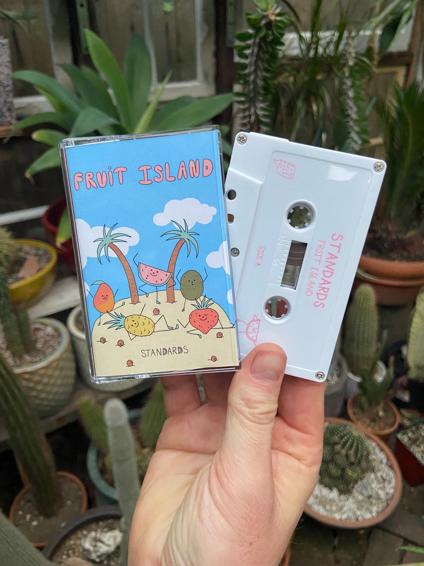 Standards - Fruit Island Cassette