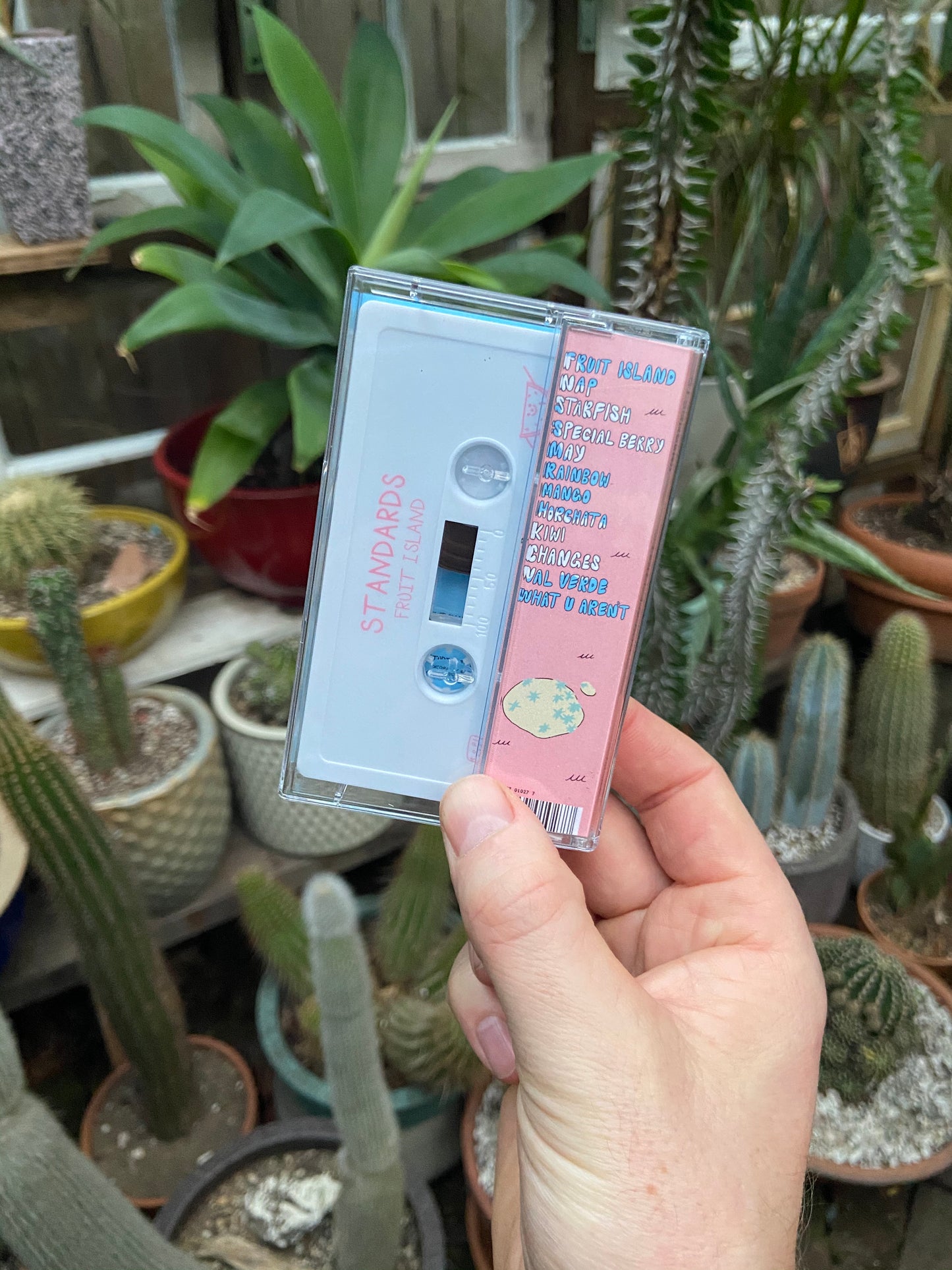 Standards - Fruit Island Cassette