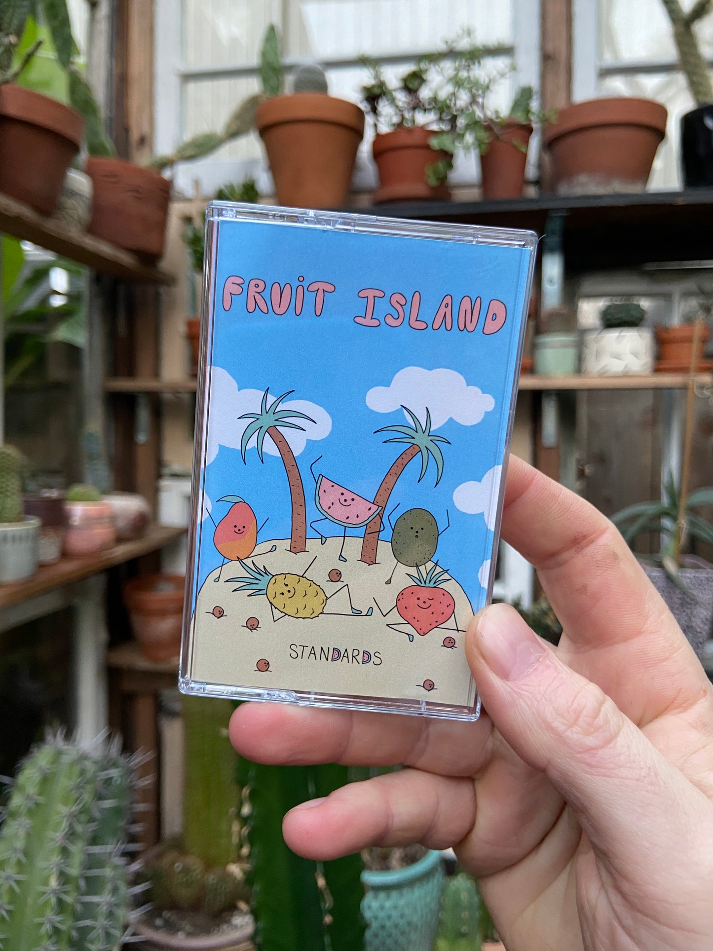 Standards - Fruit Island Cassette