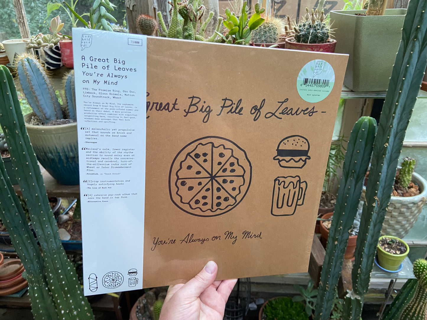 A Great Big Pile of Leaves - You're Always On My Mind LP