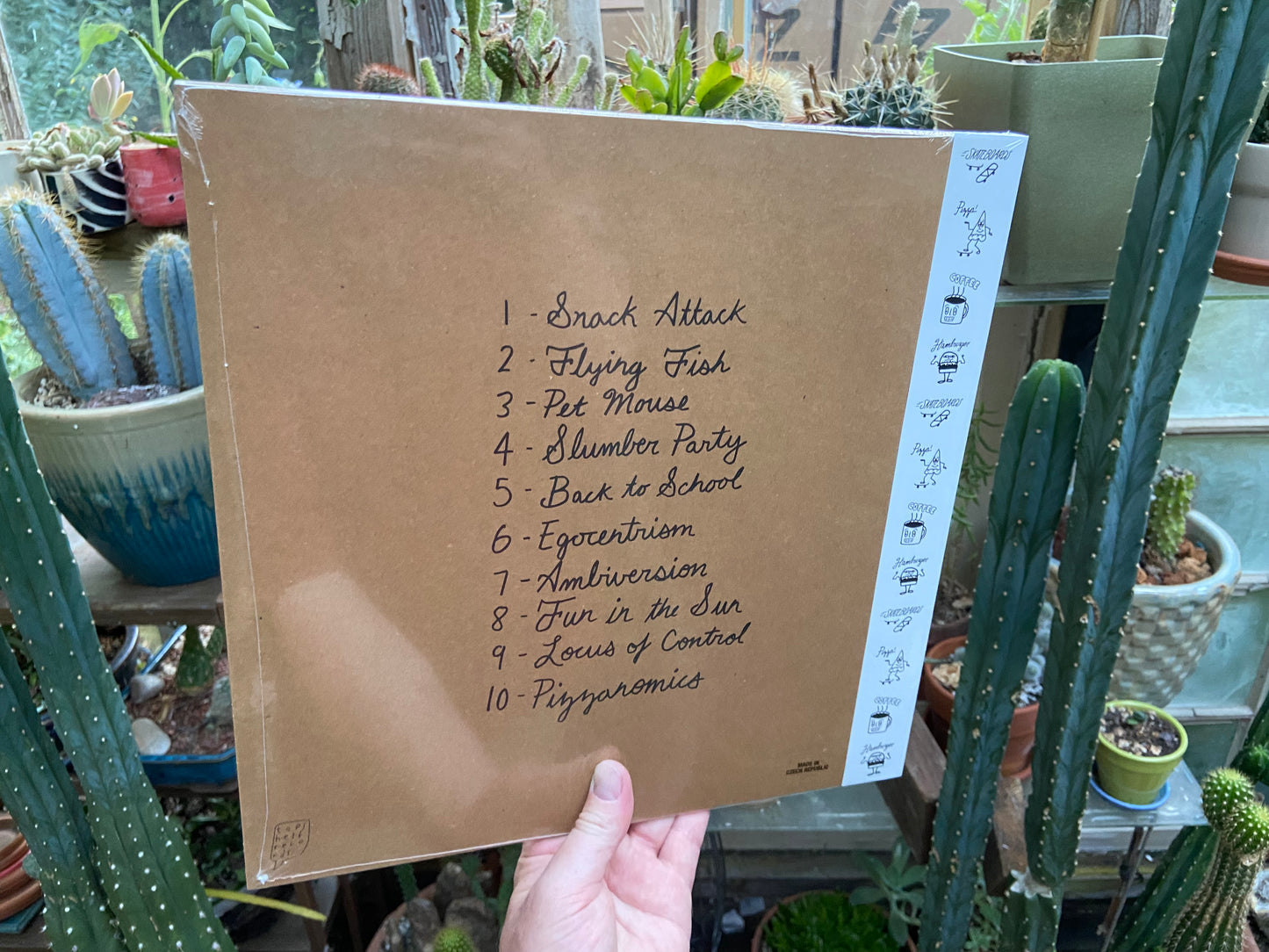 A Great Big Pile of Leaves - You're Always On My Mind LP
