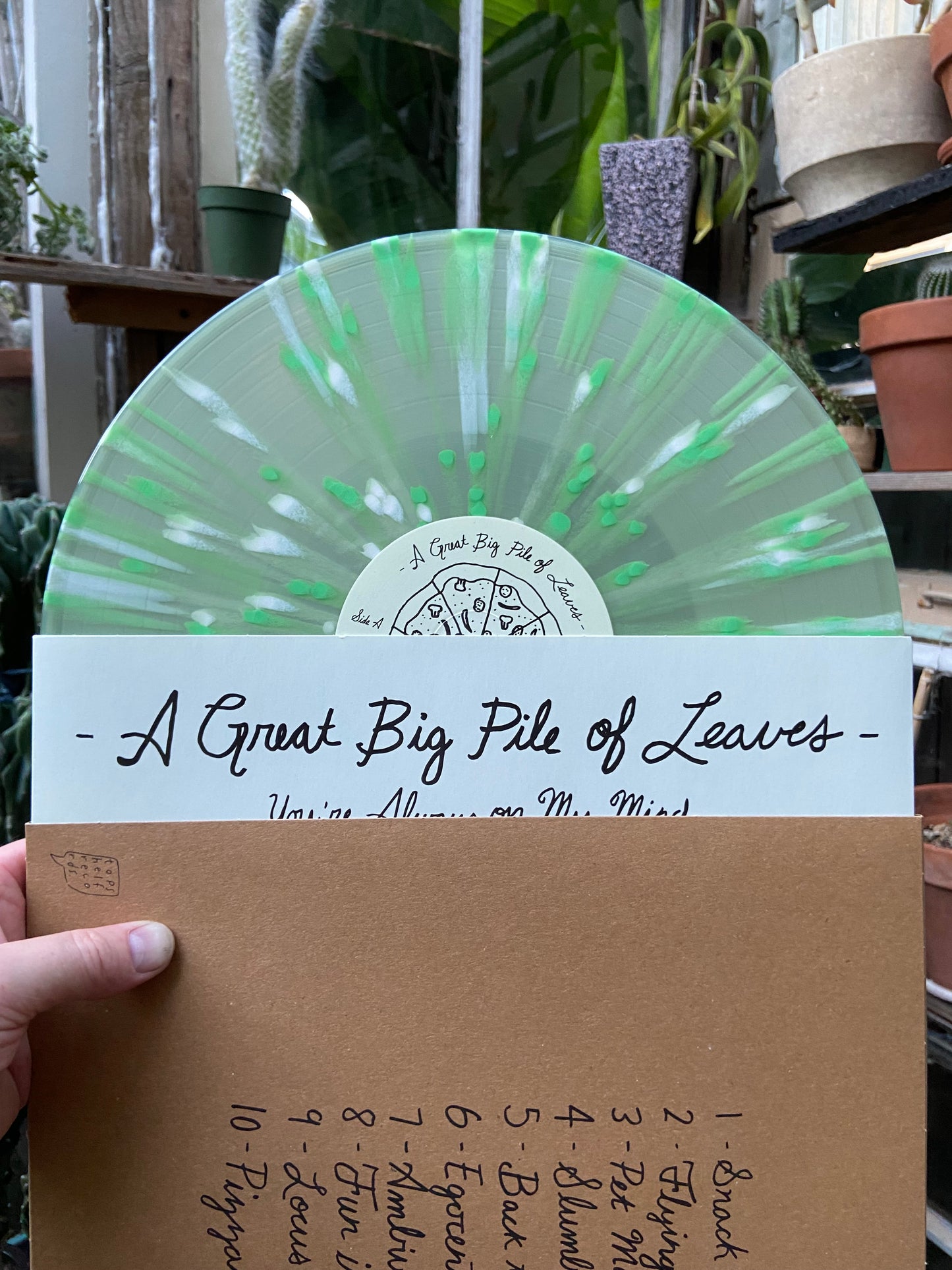 A Great Big Pile of Leaves - You're Always On My Mind LP