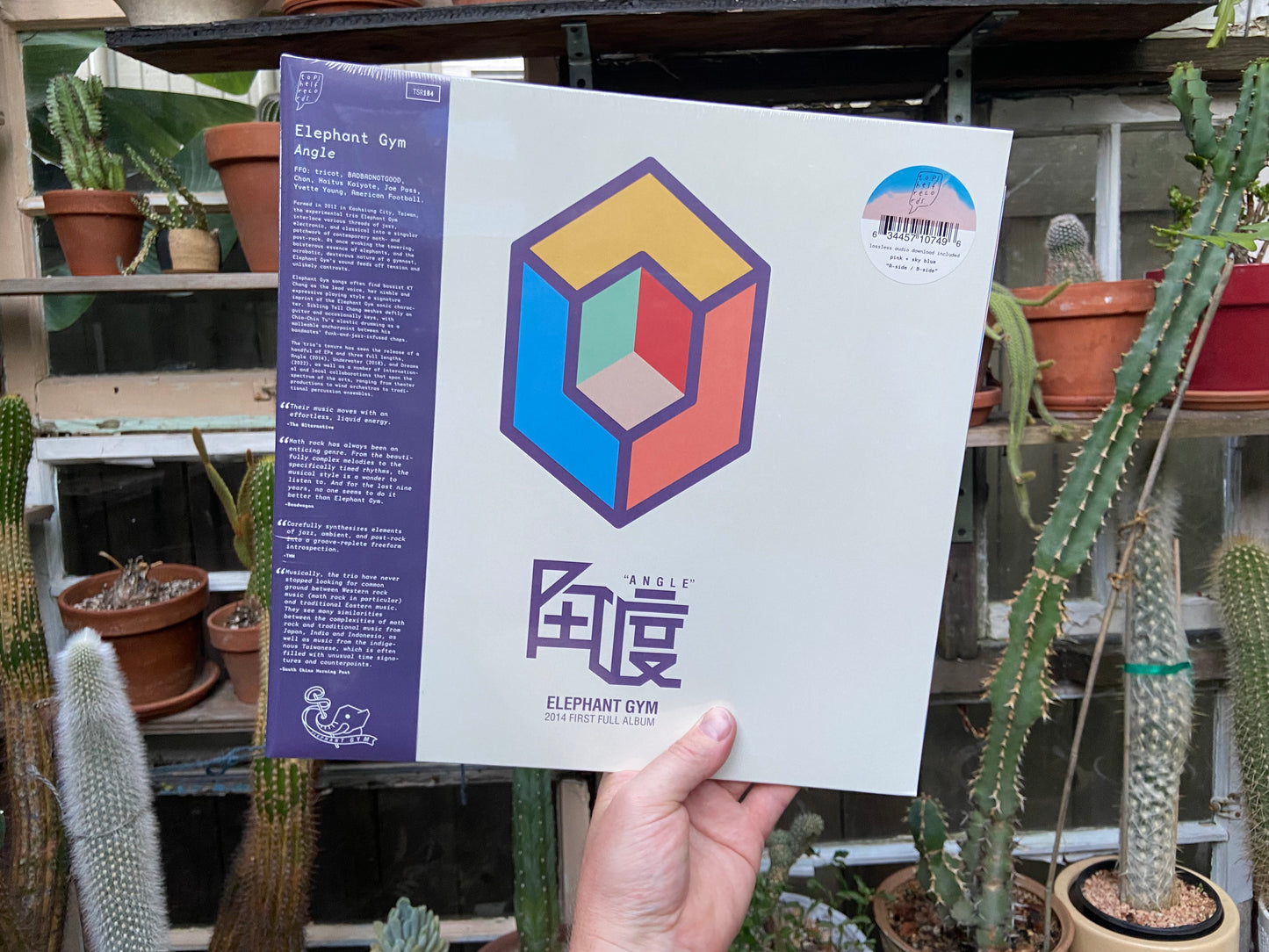 Elephant Gym - Angle LP