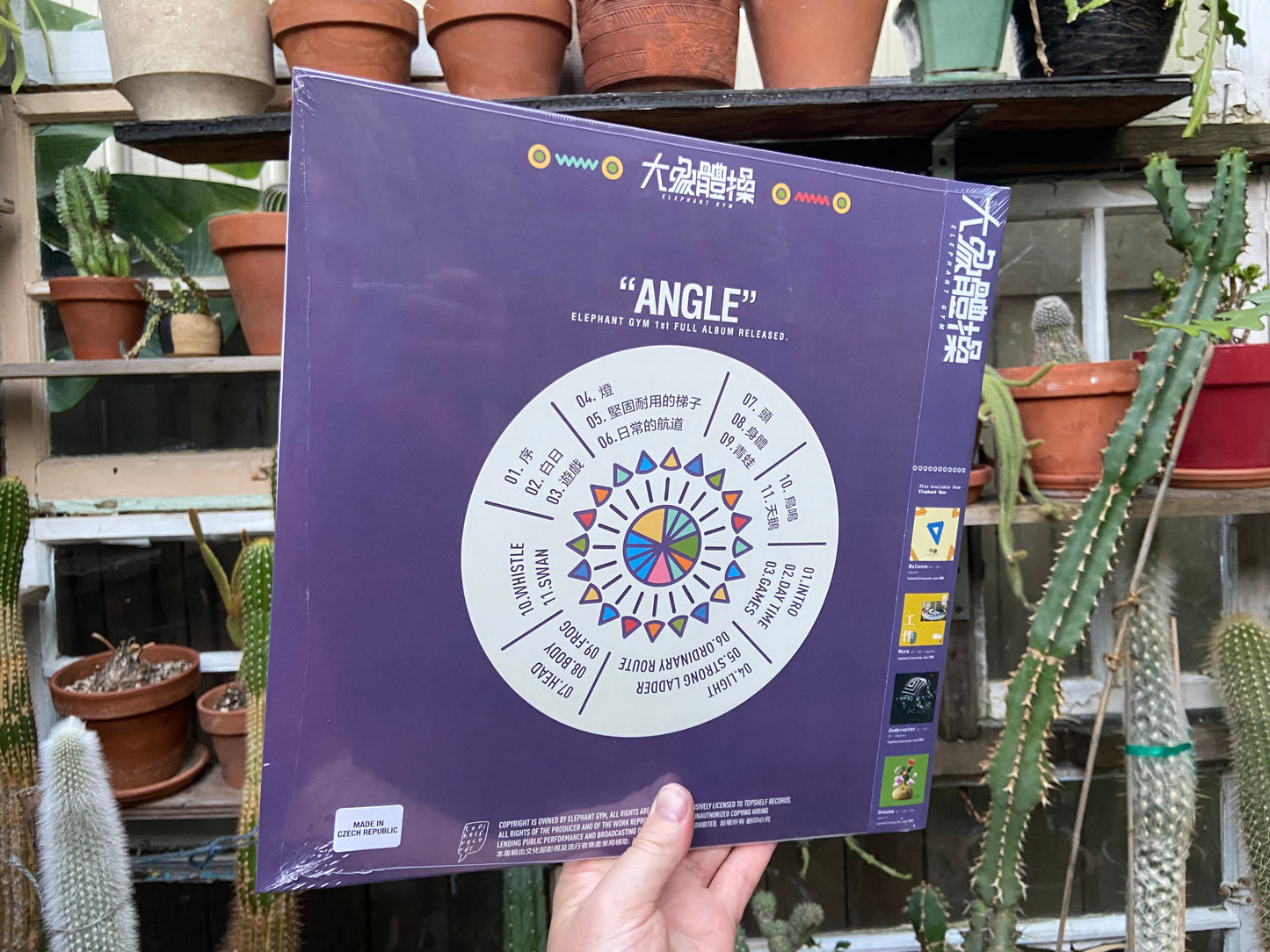 Elephant Gym - Angle LP