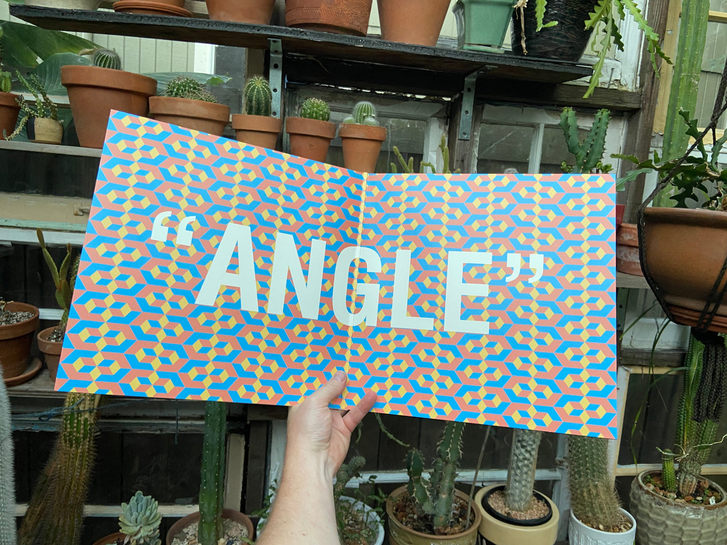 Elephant Gym - Angle LP