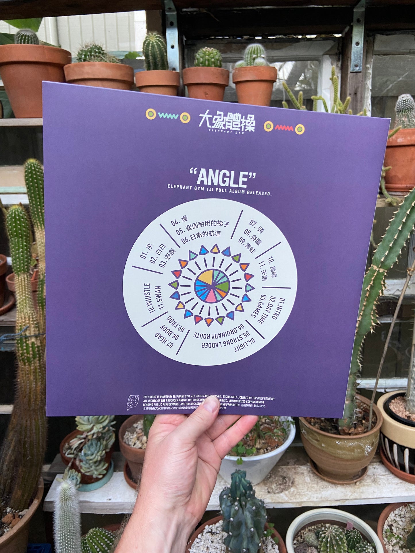 Elephant Gym - Angle LP