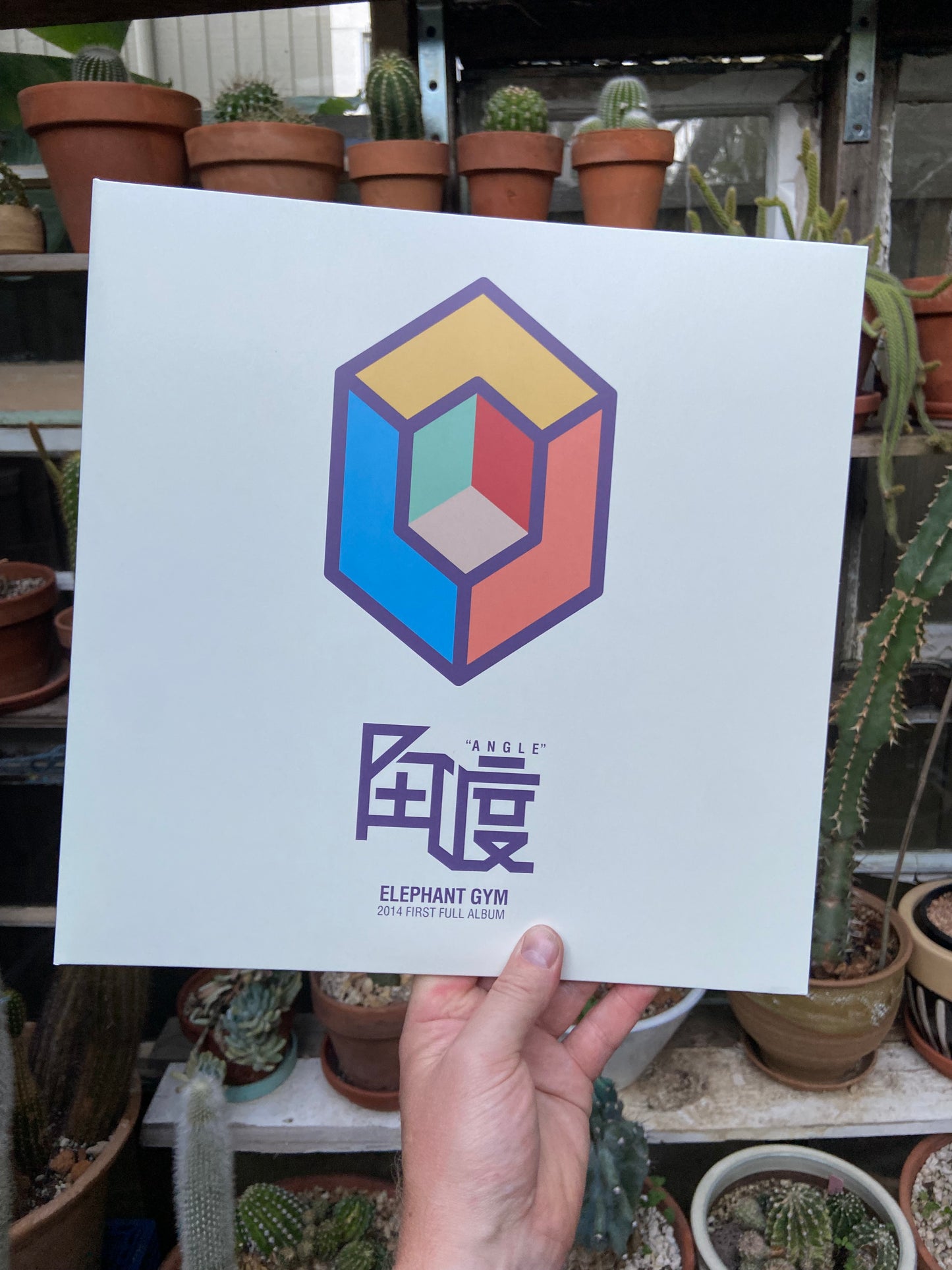 Elephant Gym - Angle LP