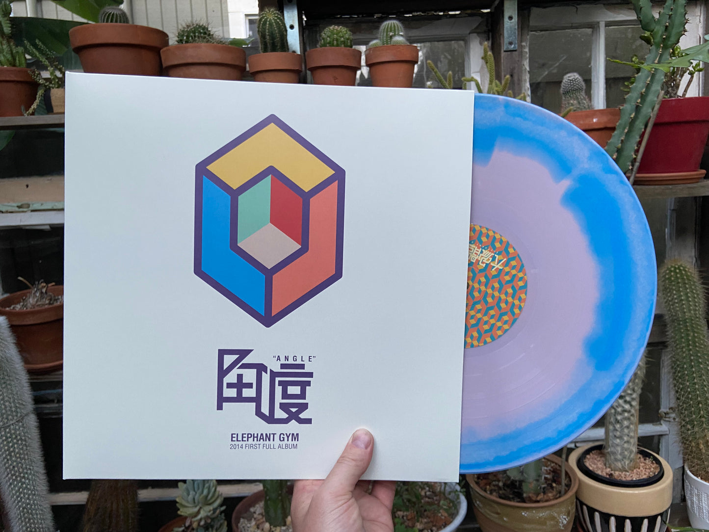 Elephant Gym - Angle LP