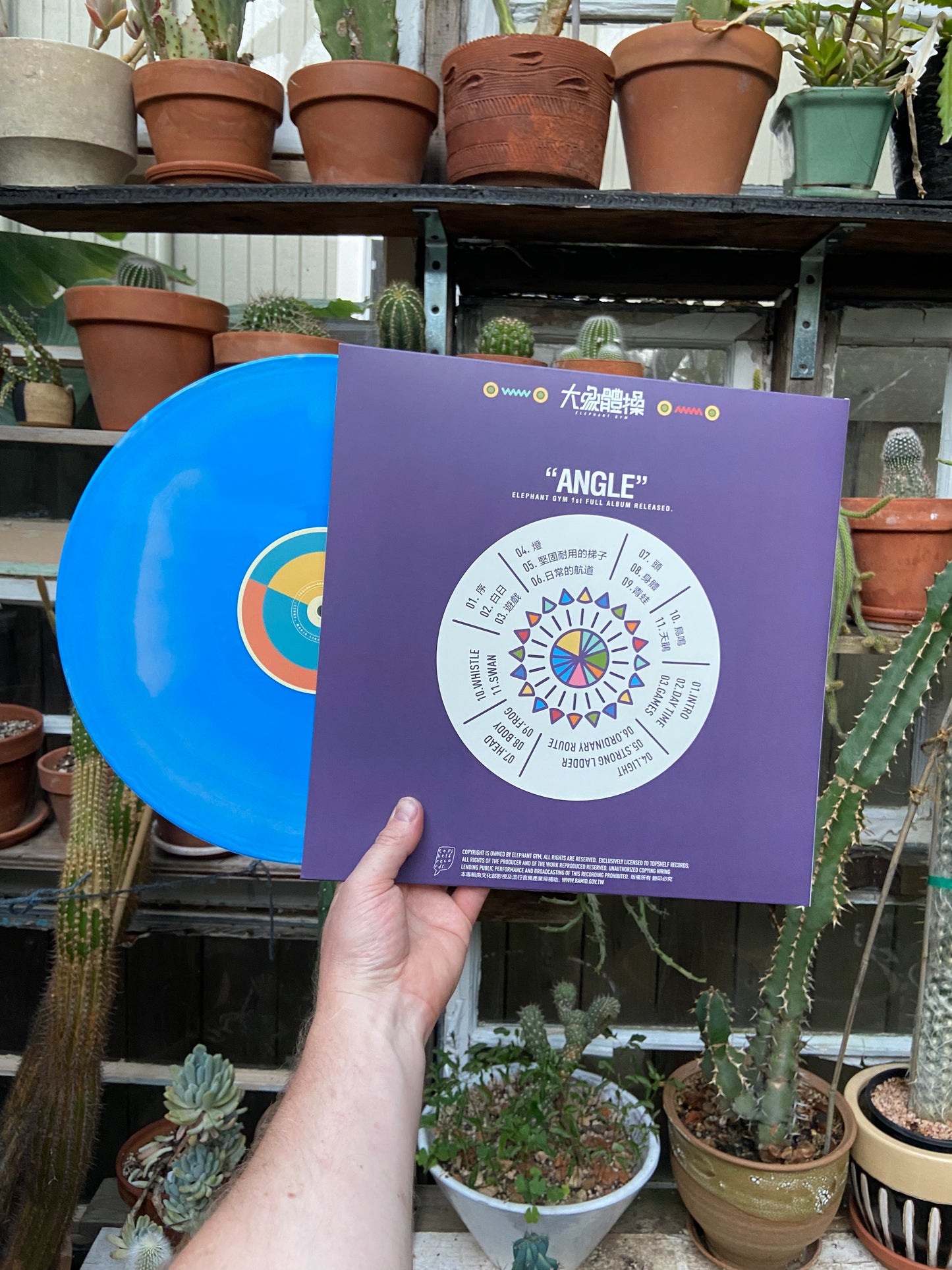 Elephant Gym - Angle LP