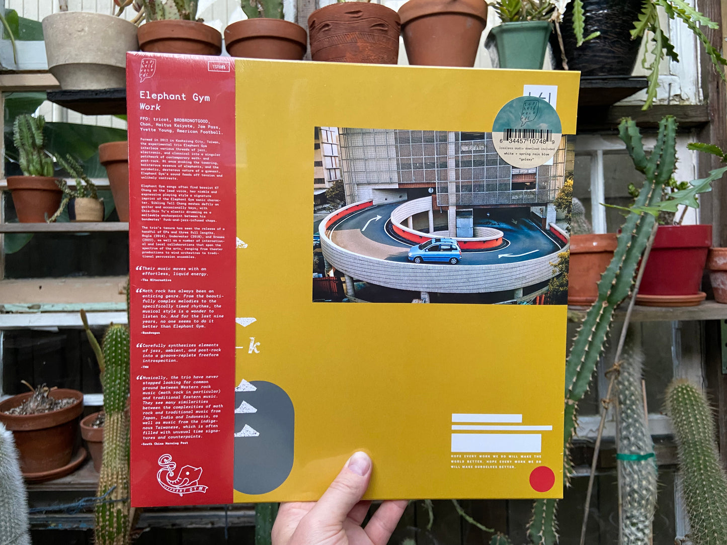 Elephant Gym - Work LP