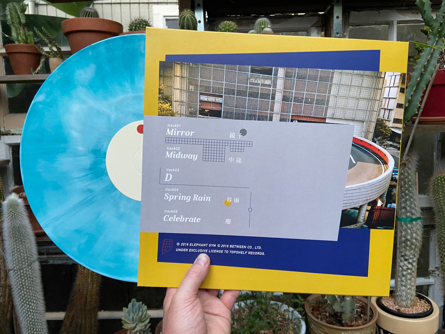 Elephant Gym - Work LP