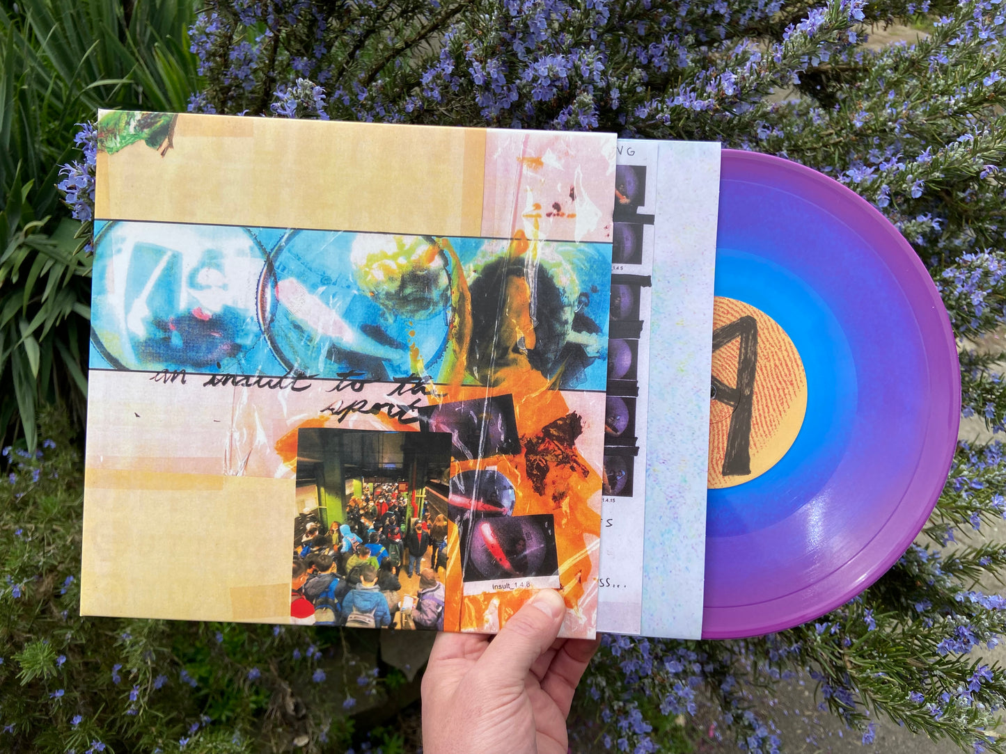 They Are Gutting a Body of Water / A Country Western - An Insult to the Sport LP
