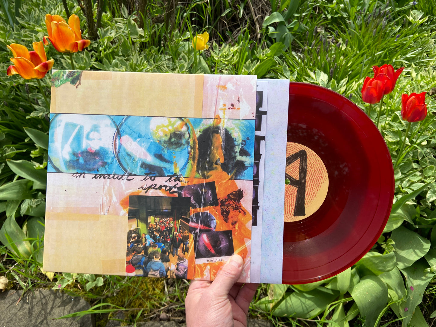 They Are Gutting a Body of Water / A Country Western - An Insult to the Sport LP