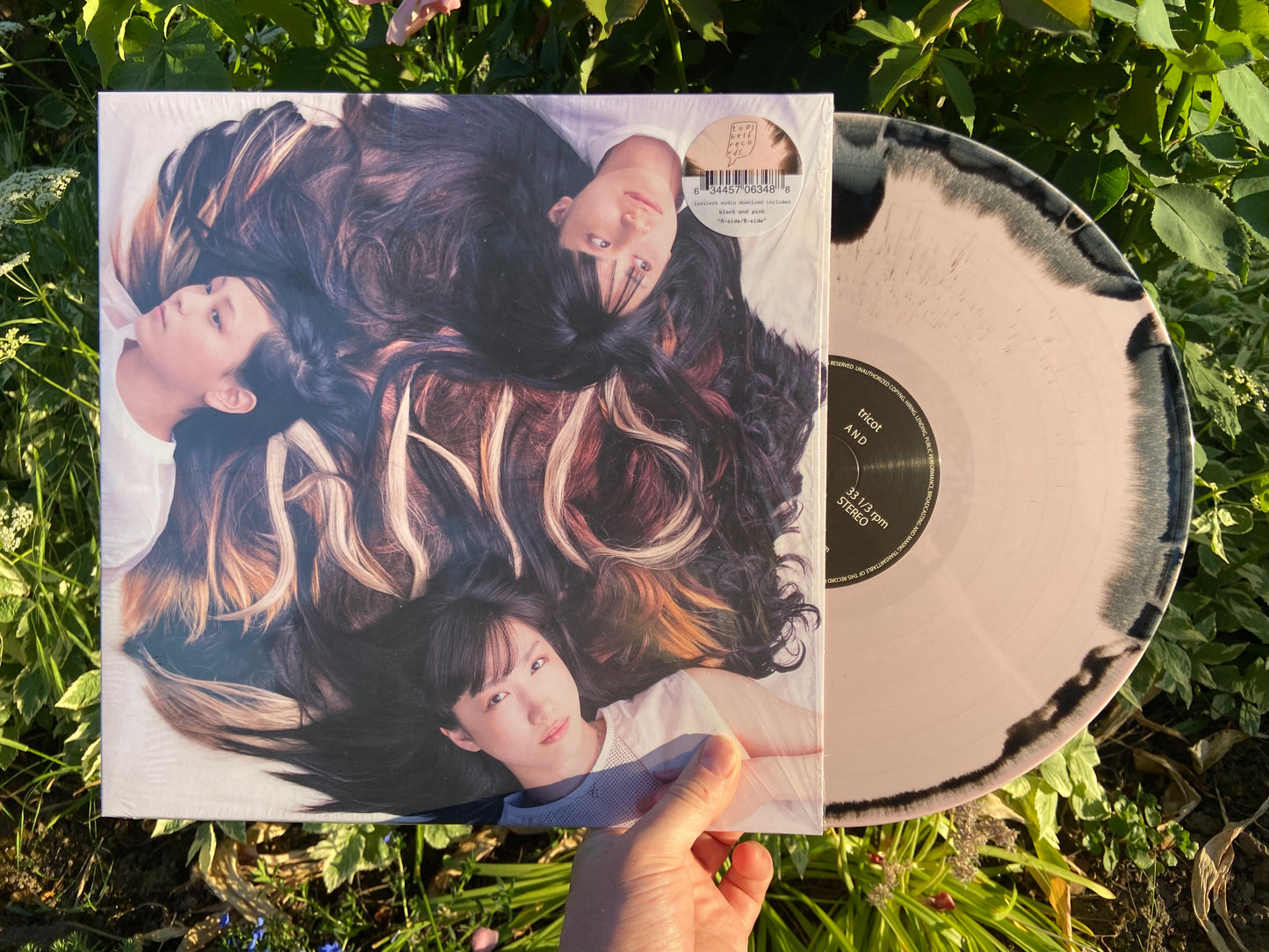 tricot - A N D LP