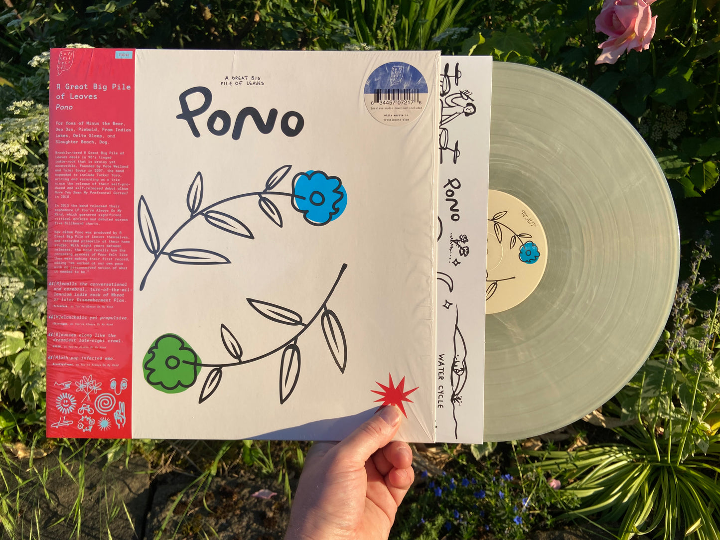 A Great Big Pile of Leaves - Pono LP