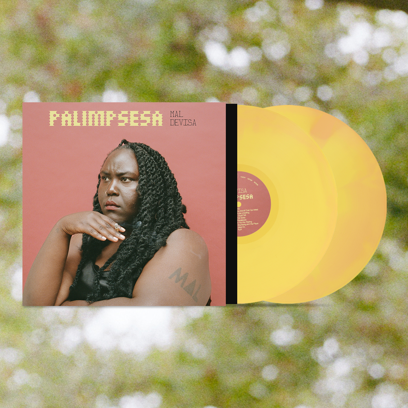 Mal Devisa - Palimpsesa 2xLP **PRE-ORDER**