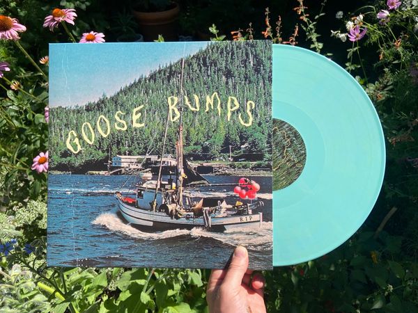 Boyscott - Goose Bumps LP