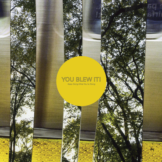 You Blew It! - Keep Doing What You're Doing LP
