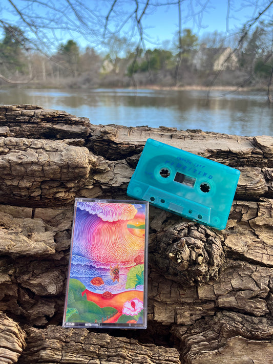 Thanya Iyer - TIDE/TIED CS