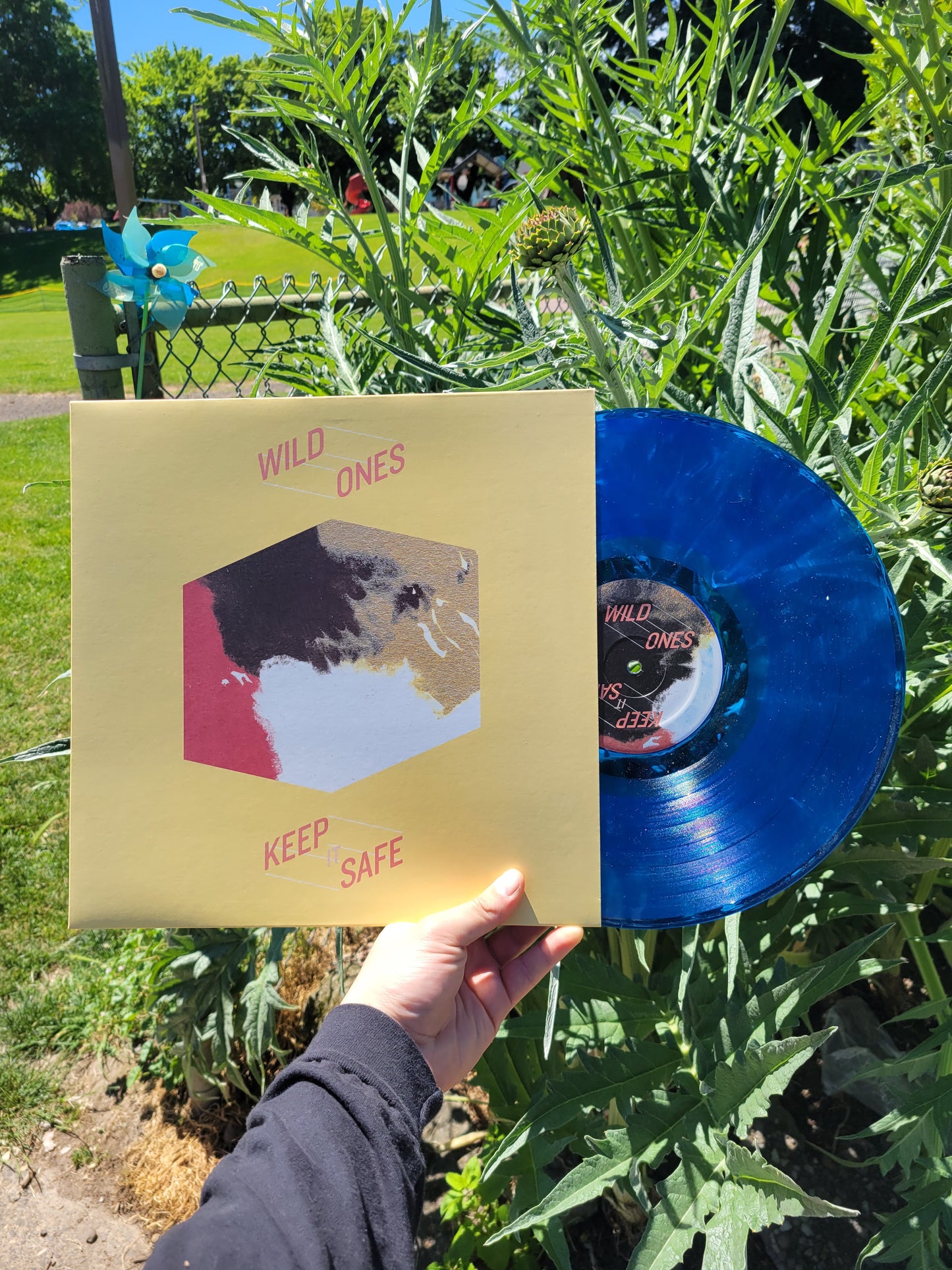 Wild Ones - Keep It Safe LP