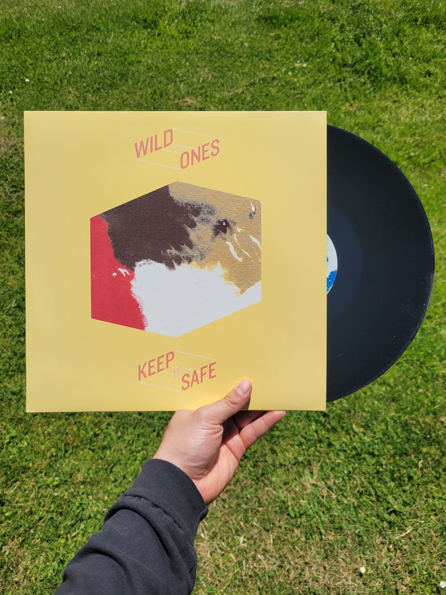 Wild Ones - Keep It Safe LP