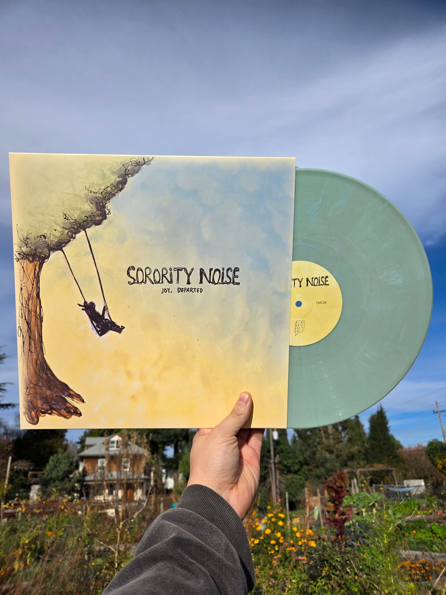 Sorority Noise - Joy, Departed LP