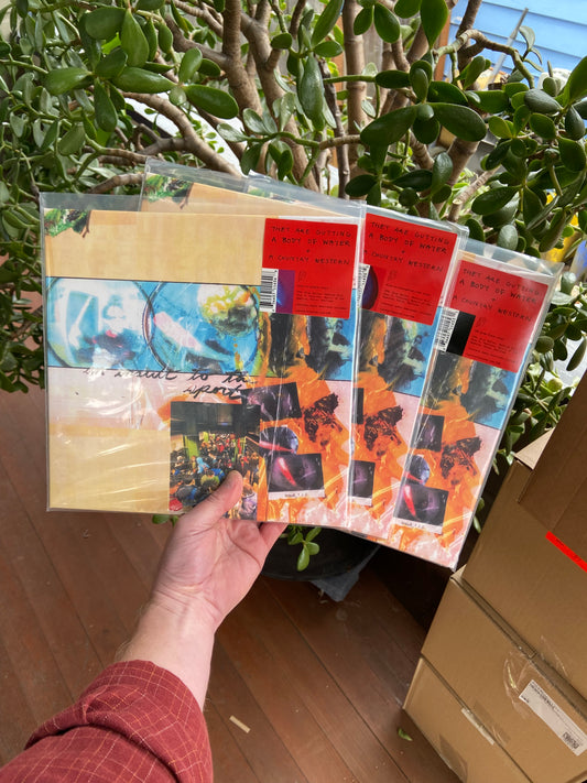 They Are Gutting a Body of Water / A Country Western - An Insult to the Sport LP