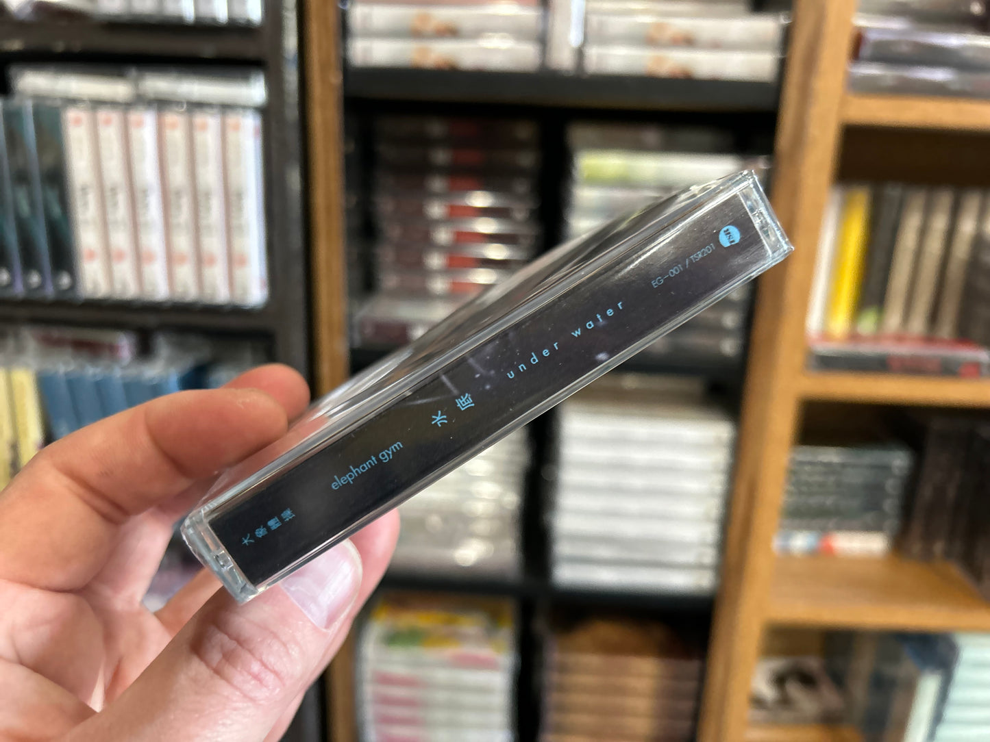 Elephant Gym - Underwater Cassette