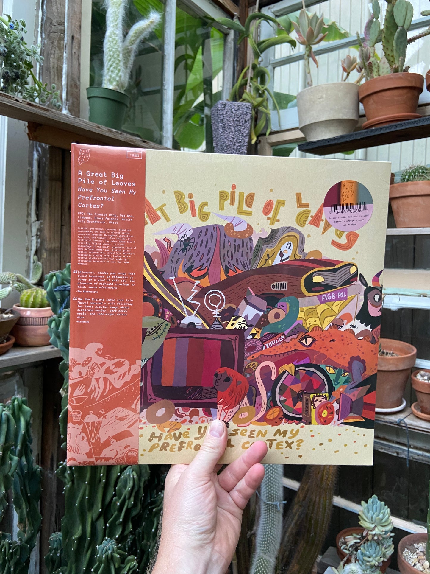 A Great Big Pile of Leaves - Have You Seen My Prefrontal Cortex? 2xLP