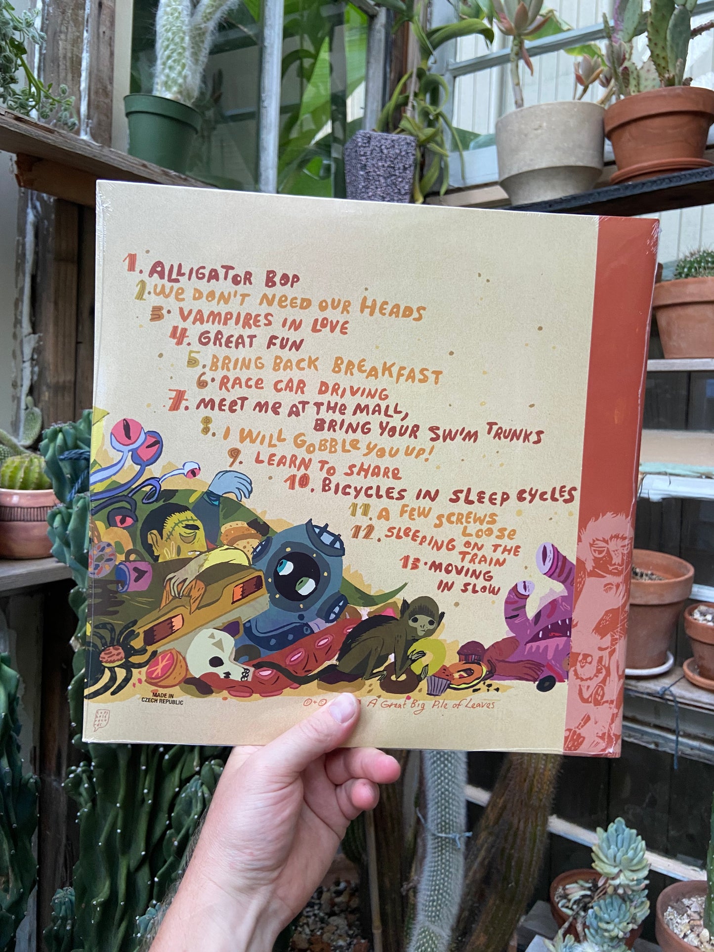 A Great Big Pile of Leaves - Have You Seen My Prefrontal Cortex? 2xLP