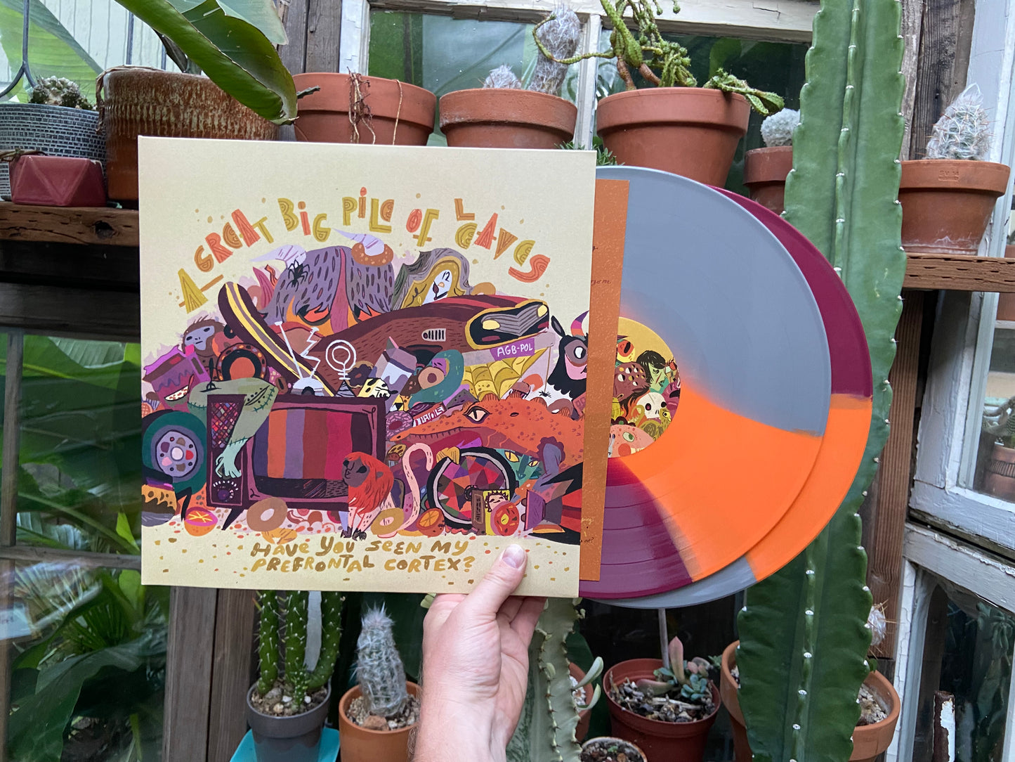 A Great Big Pile of Leaves - Have You Seen My Prefrontal Cortex? 2xLP